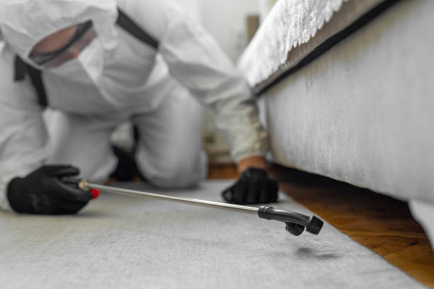 Professional Mosquito Control technician working in Walnut, CA