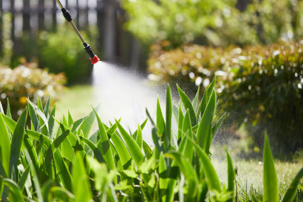 24/7 Emergency Mosquito Control experts in Walnut, CA