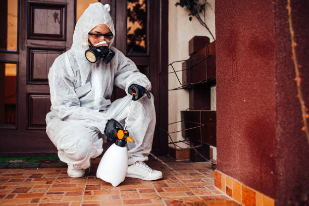Reliable Mosquito Control contractor in Walnut, CA by Nex Pest Control